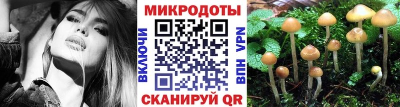 Галлюциногенные грибы прущие грибы  мориарти телеграм  Кушва 